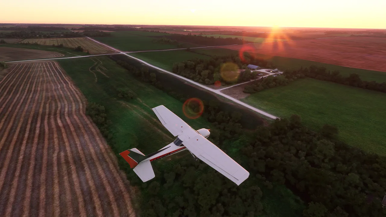 A quick flight home to the farm