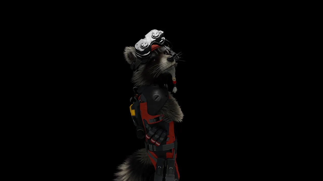 Rocket looking over shoulder towards camera