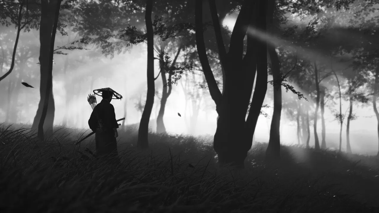 Jin standing in the woods, rays of light shining through the canopy